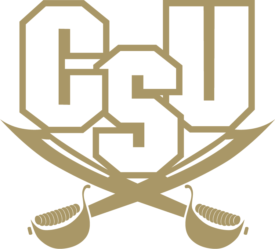 CSU Buccaneers 2004-2015 Alternate Logo diy iron on heat transfer